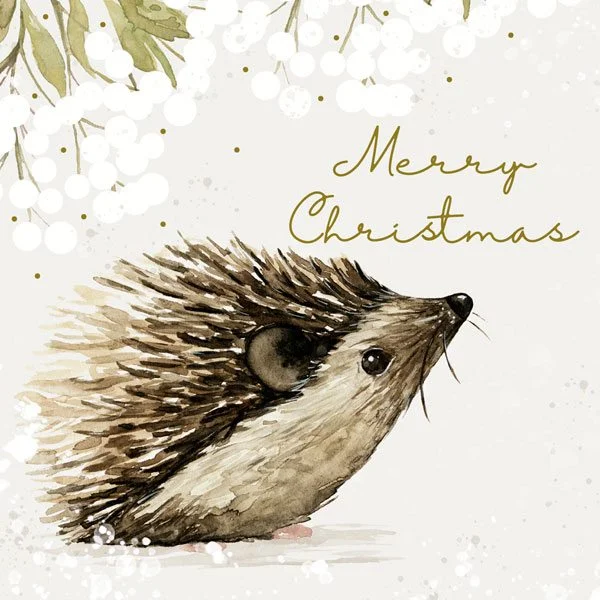 Charity Christmas Cards 6 pack Hedgehog